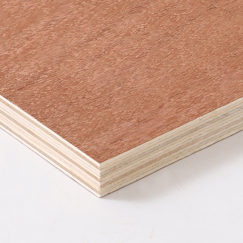 Sapele Plywood