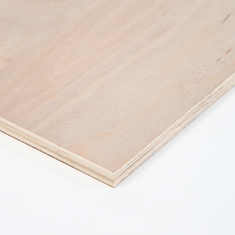 Eucalyptus Plywood