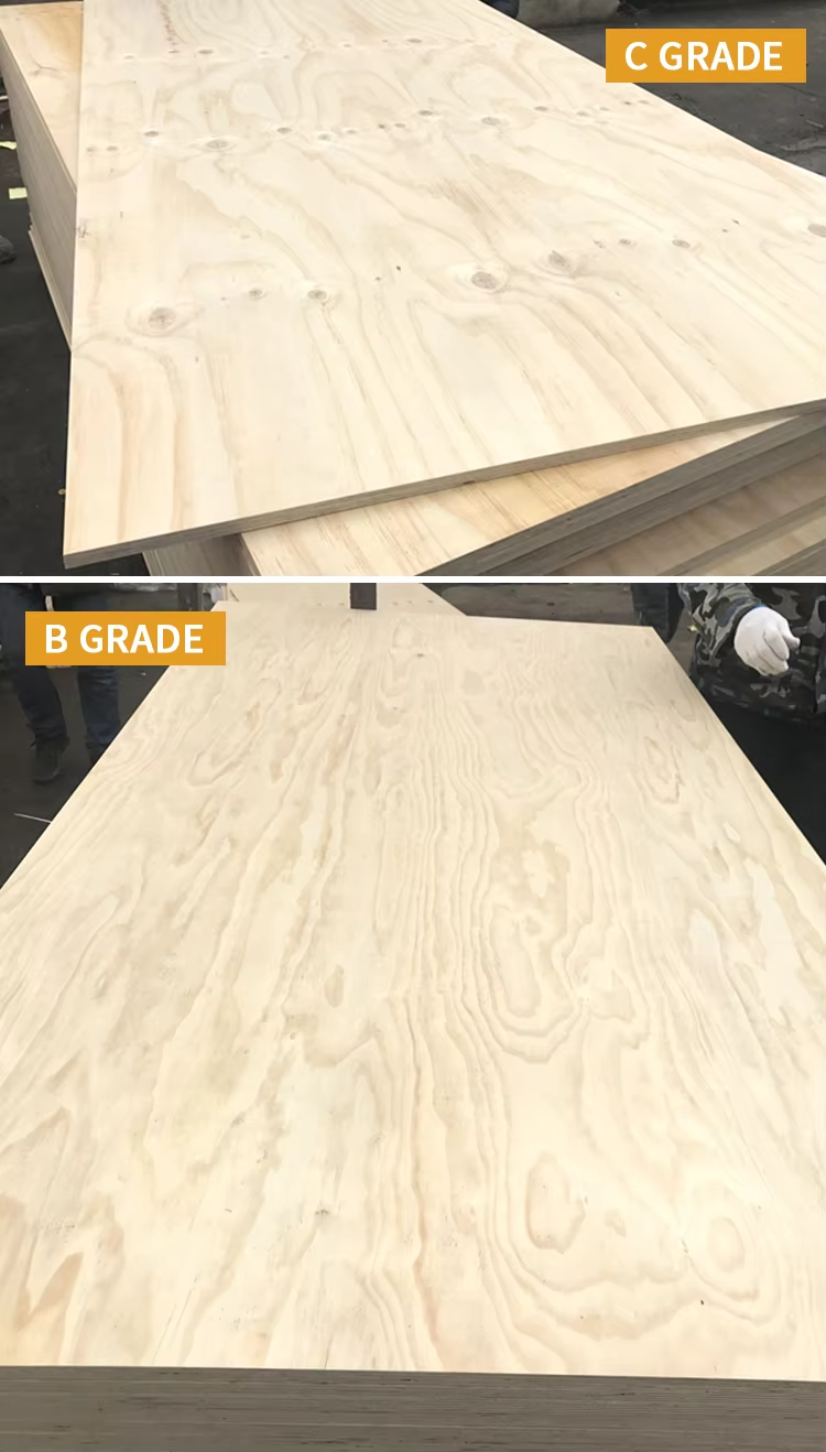 cdx plywood