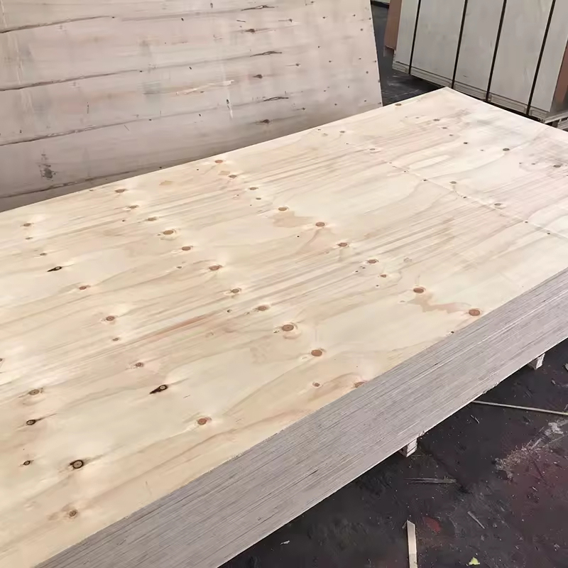 Wholesale Factory Price Direct Sales 12m